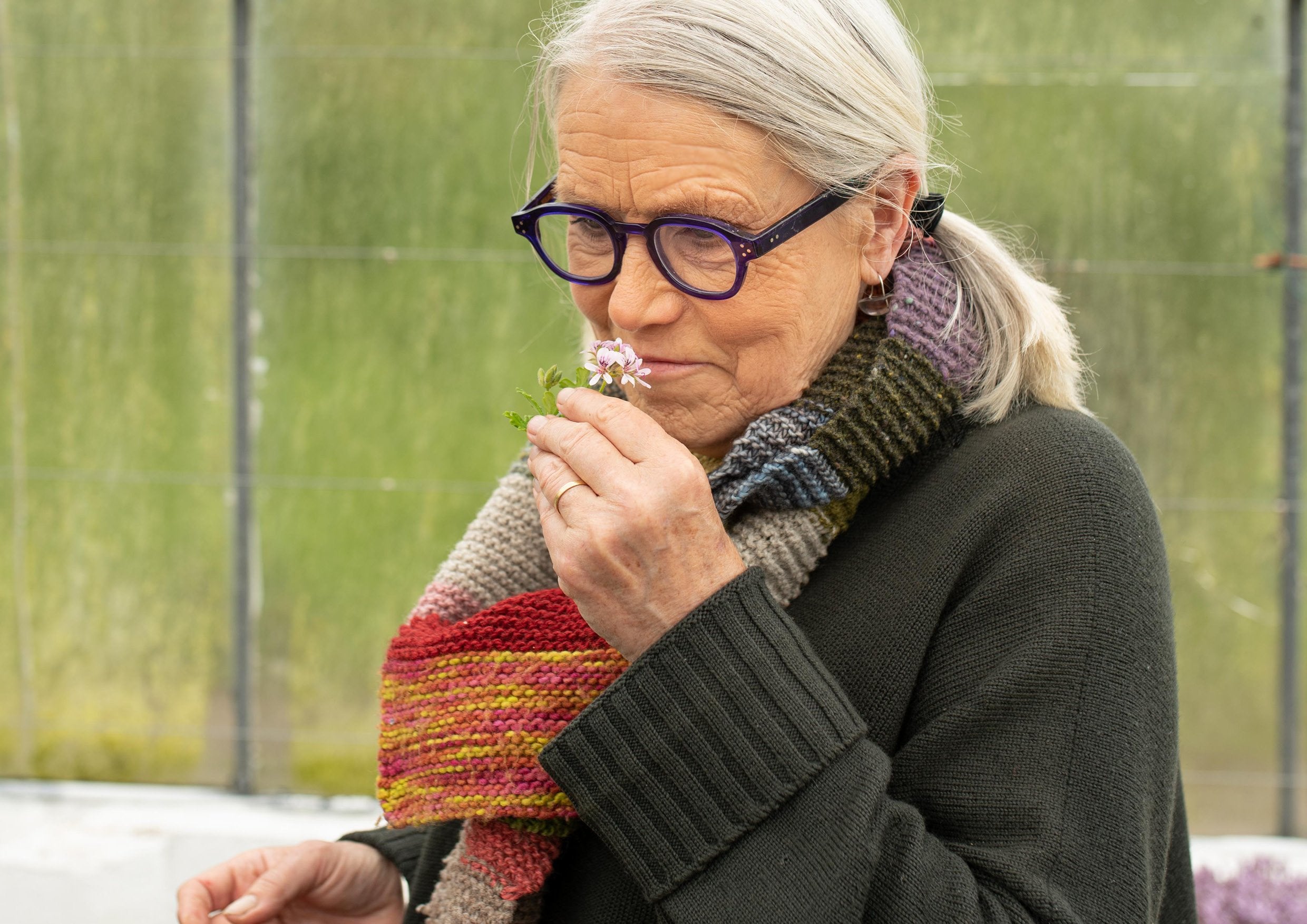 Darina Allen TOAST Insider TOAST Magazine