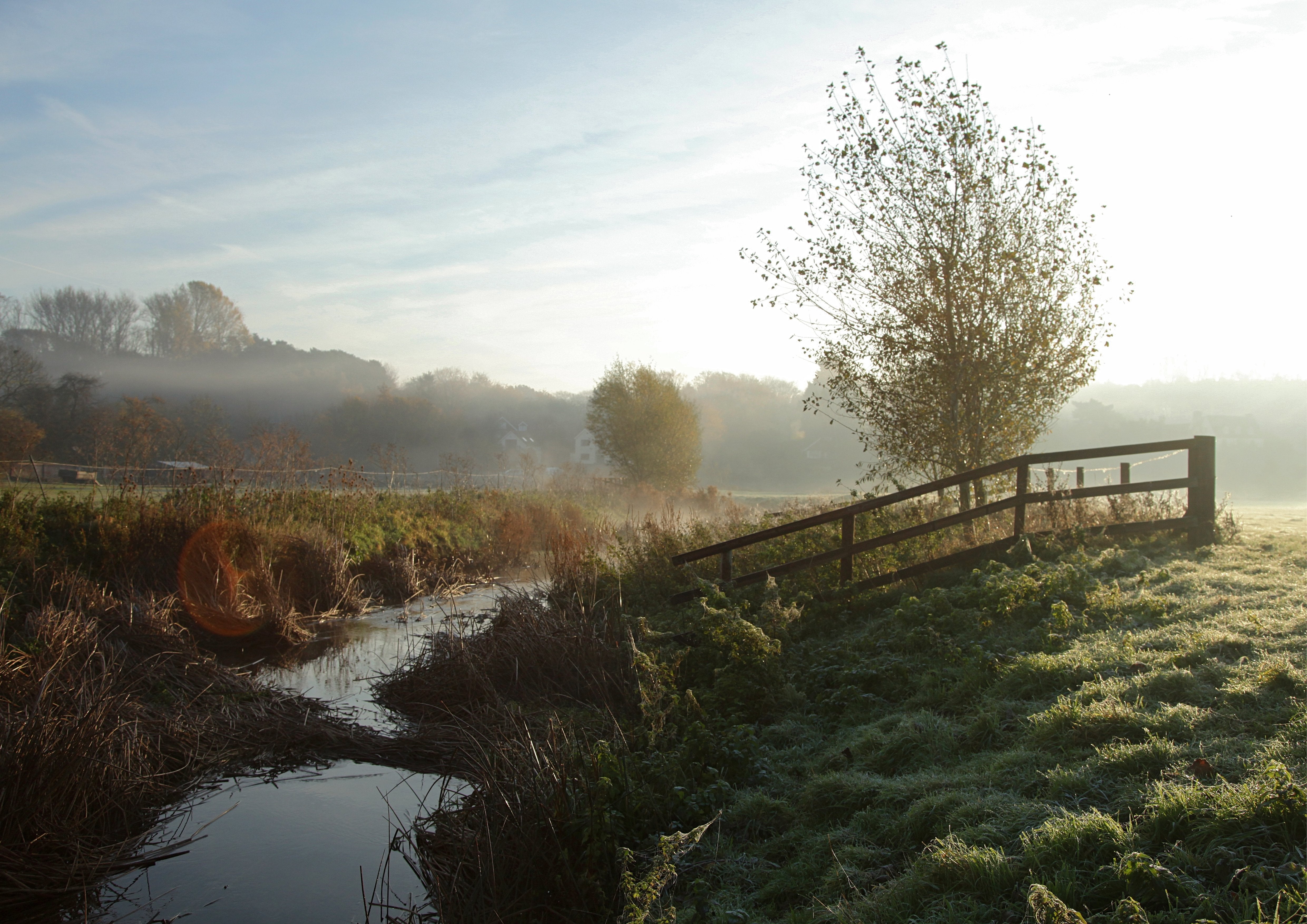 Relocation Rural Calibrating a Rural Relocation | TOAST Magazine