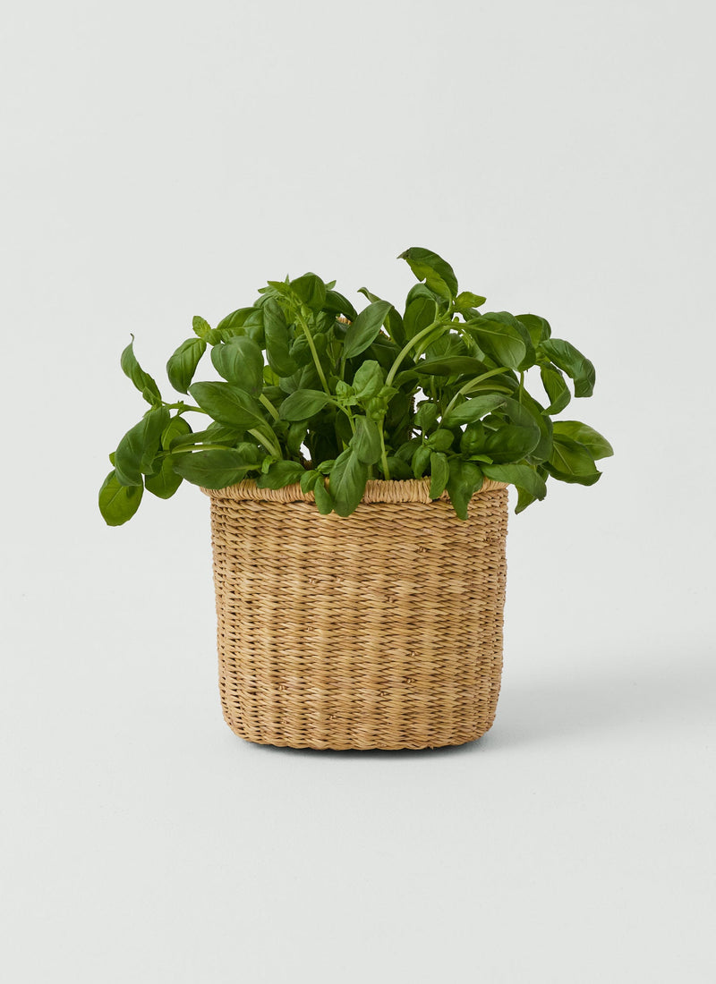 Veta Vera Grass Hanging Storage Basket | Natural