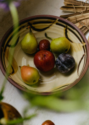 Frances Savage Serving Bowl | Cream/Terracotta