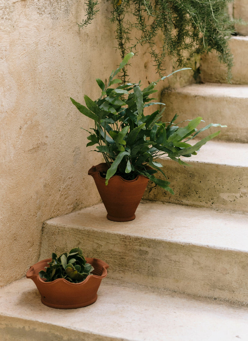 Willow Pottery Terracotta Planter | Terracotta