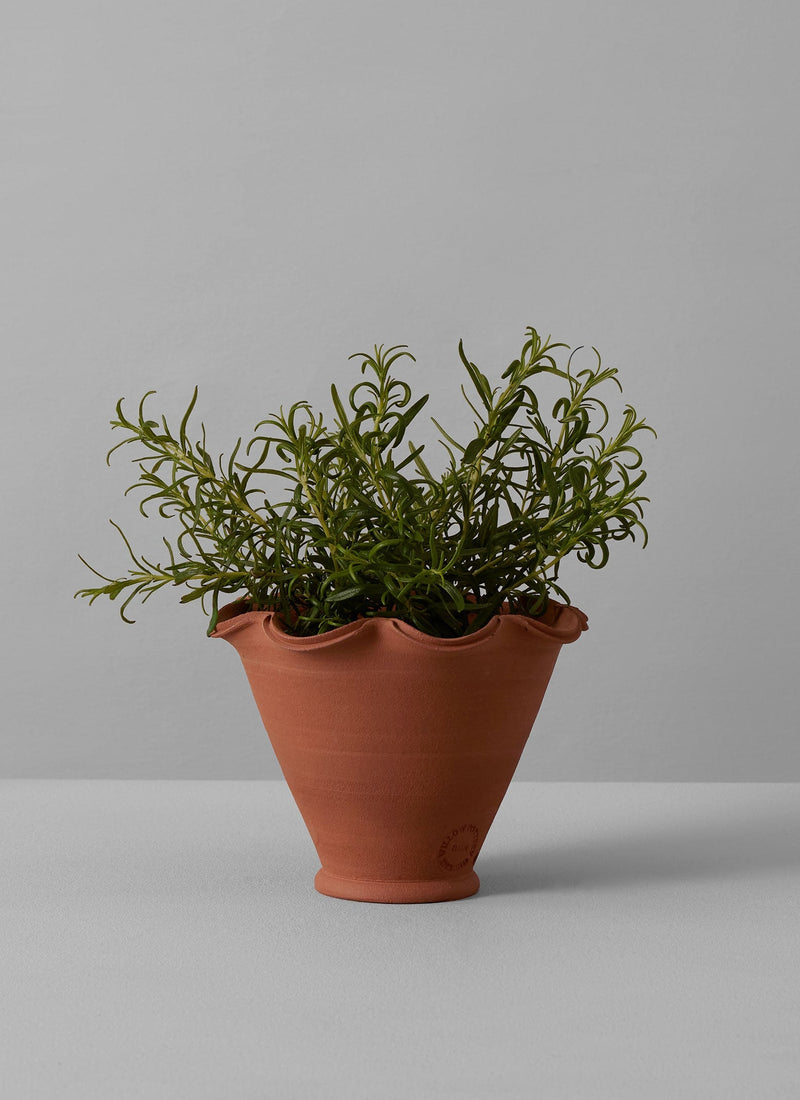 Willow Pottery Terracotta Planter | Terracotta