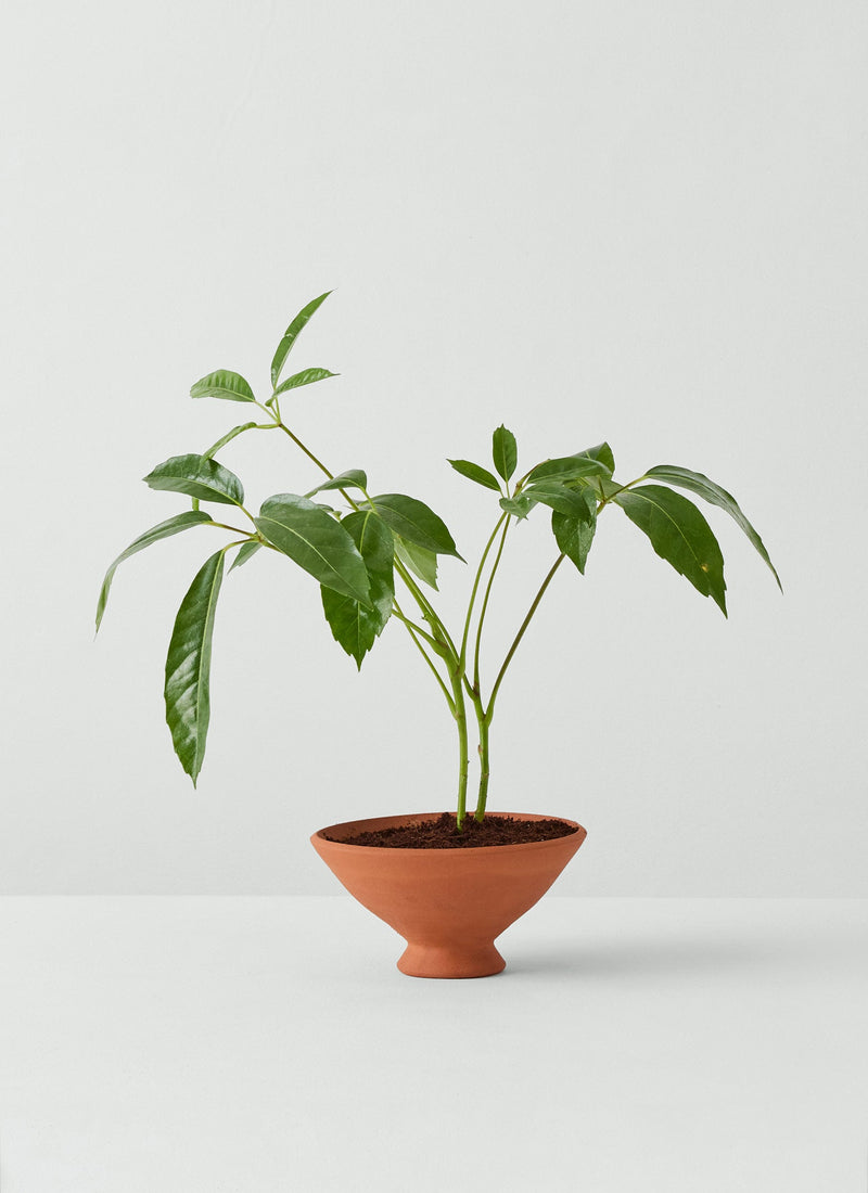 Willow Pottery Footed Terracotta Planter | Terracotta