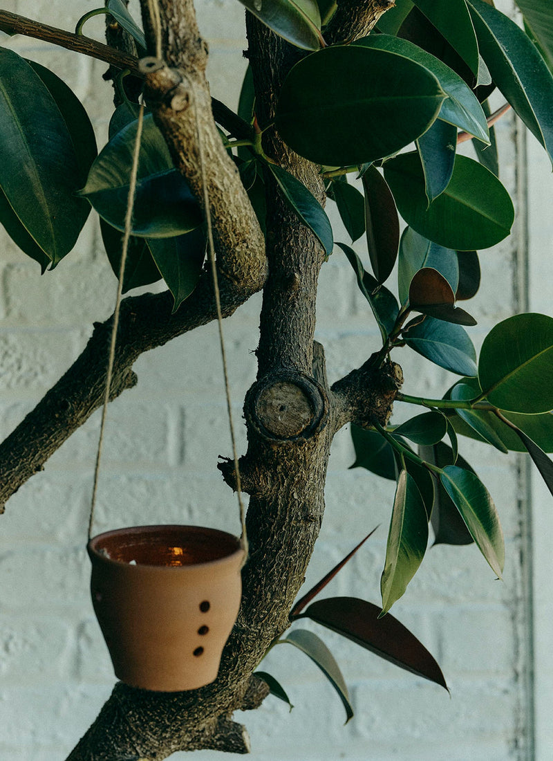 Willow Pottery Terracotta Lantern | Terracotta
