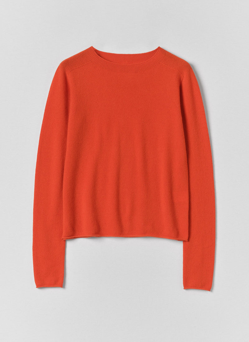 Wool Cashmere Neat Sweater | Persimmon