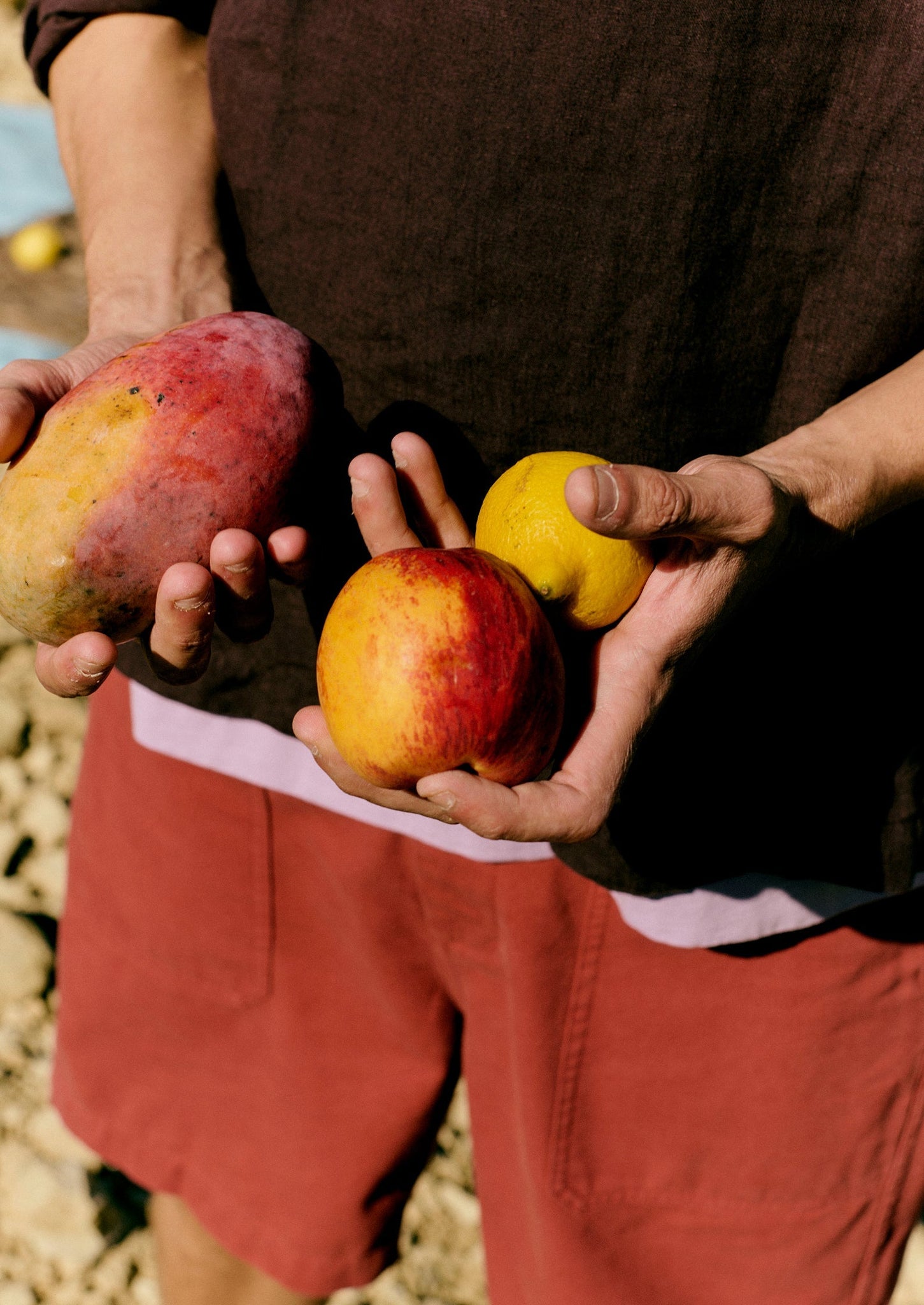 Half Placket Linen Shirt | Rich Earth