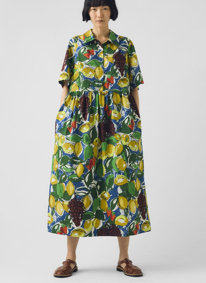 Selma Sketched Fruit Print Shirt Dress | Verdigris/Multi