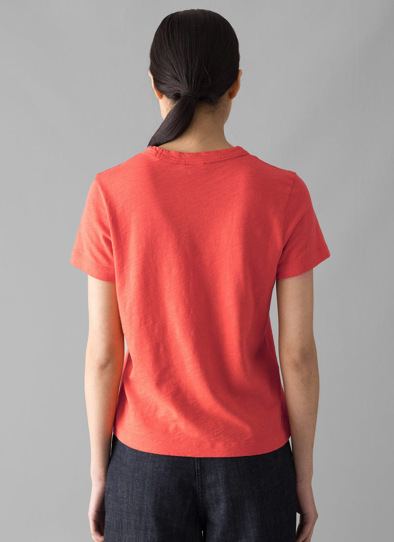 Sadie Organic Cotton Boy Tee | Poppy