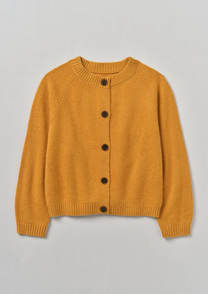 Eden Wool Cashmere Raglan Cardigan | Ginger Melange